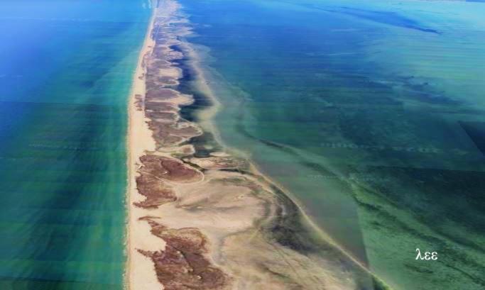 South Padre Stayz Саут Падре Алънд Екстериор снимка